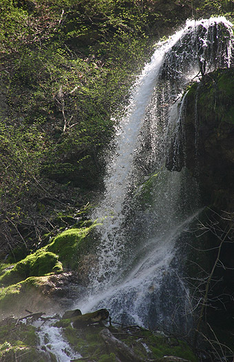 Wasserfall